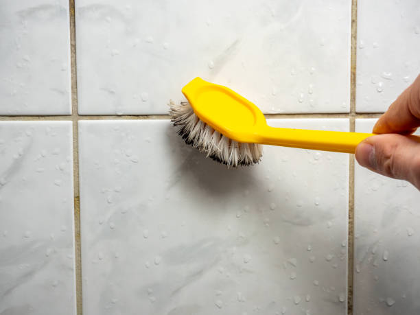 Best Mold Removal Company Near Me  in Stratford, CA