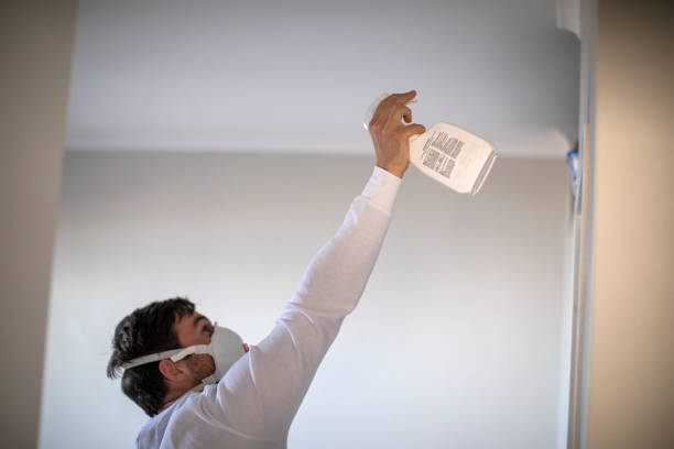 Best Commercial Mold Removal  in Stratford, CA