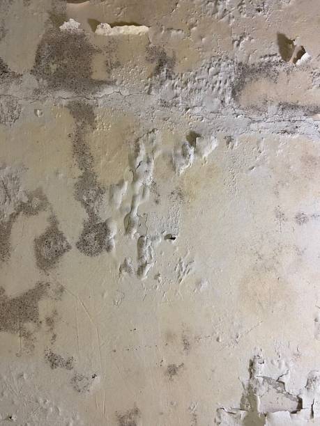 Water Damage Restoration in Stratford, CA